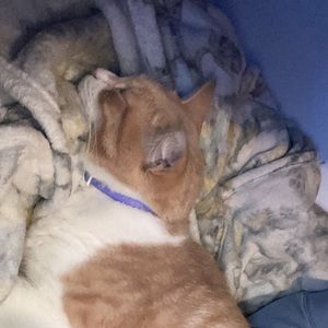 Meet your Posher, Destiny